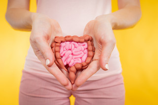 Hände einer Frau halten ein Darmmodel vor dem Bauch
