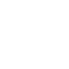 Icon Team