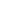 Icon Team