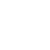 Icon Team