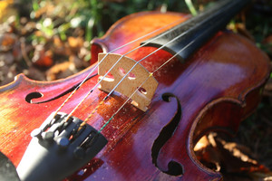 Violine