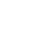 Icon Forschung