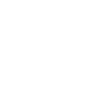 Icon Forschung