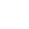 Icon Forschung