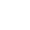 Icon Forschung