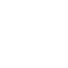 Icon Forschung