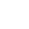 Icon Forschung