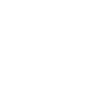 Icon Forschung