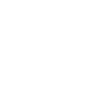 Icon Forschung