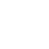 Icon Forschung
