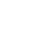 Icon Forschung