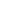 Icon Forschung