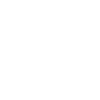 Icon Forschung