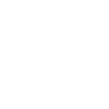Icon Forschung